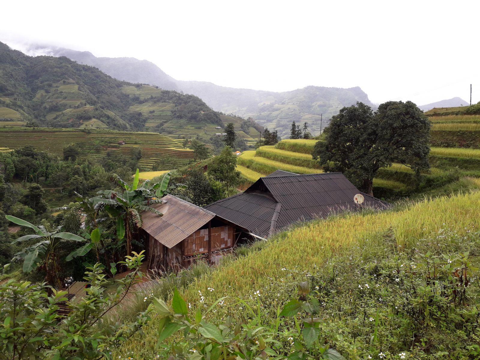 Trek Hoang Su Phi Ha Giang 3 Day Itinerary